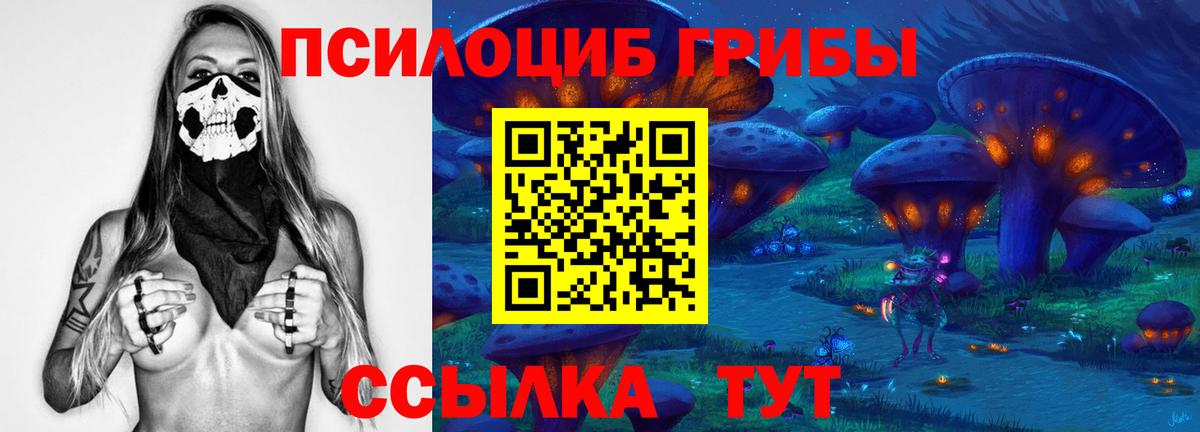 Галлюциногенные грибы Psilocybe  Вход с VPN  Кыштым 